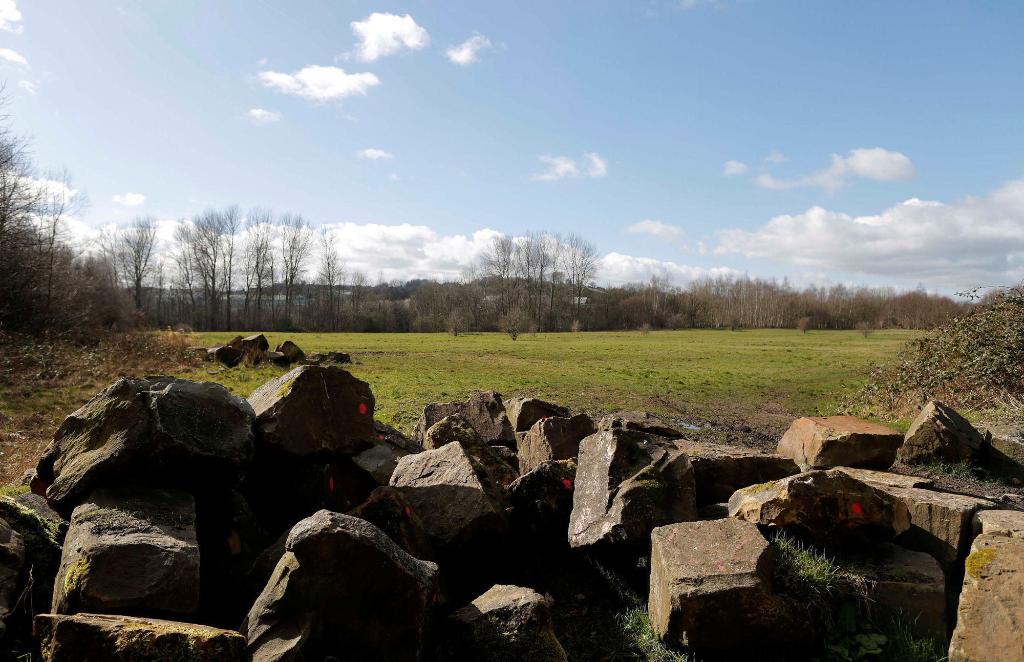 Colliers Wood Forestry England